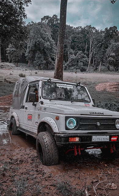 将在短期内 将在短期内