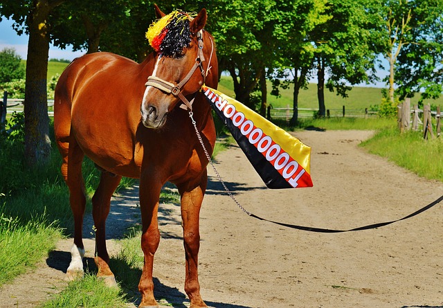 不凡的齐敬 不凡的齐敬