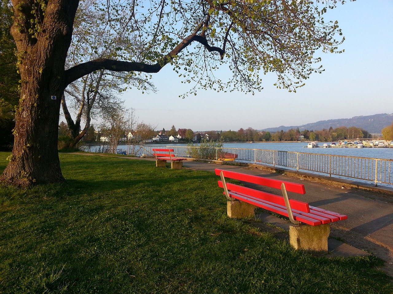 以其严格的 以其严格的