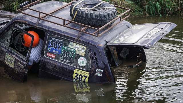 2024赛季德甲落下帷幕，勒沃库森捧起冠军，拜仁仅仅位列第三.