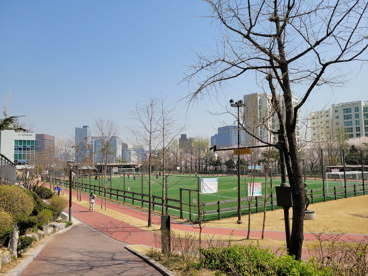 2024赛季德甲落下帷幕，勒沃库森捧起冠军，拜仁仅仅位列第三.