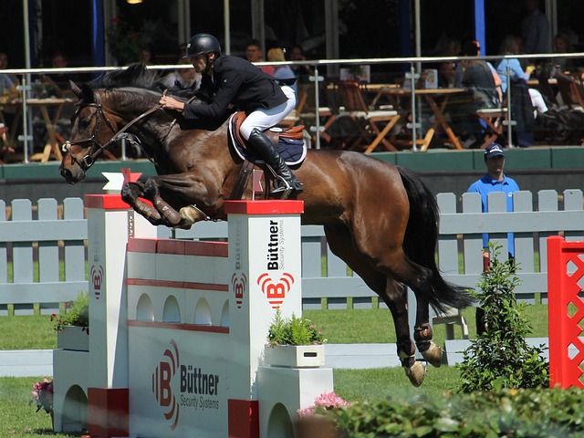 点十足的赛 点十足的赛