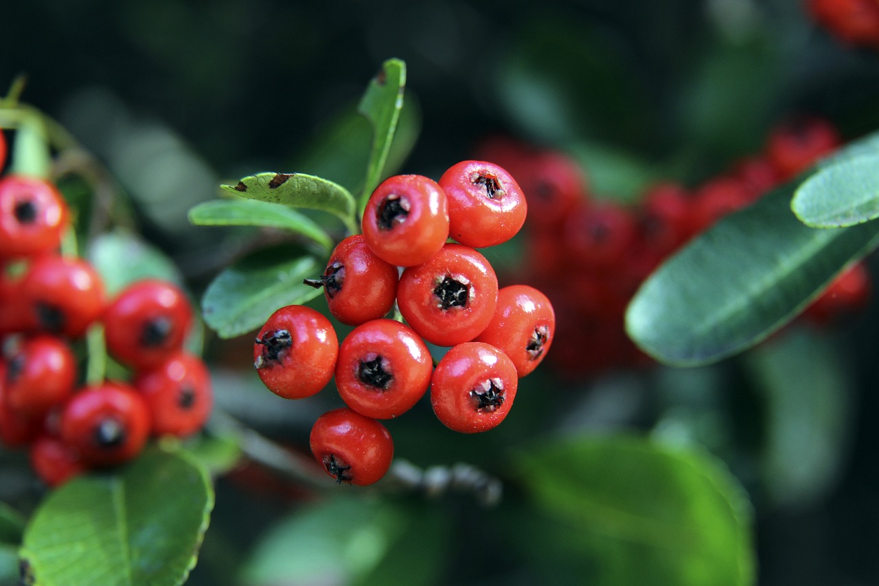 季的英超竞 季的英超竞